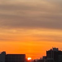 キャリアかウンセリング　Mさん面談